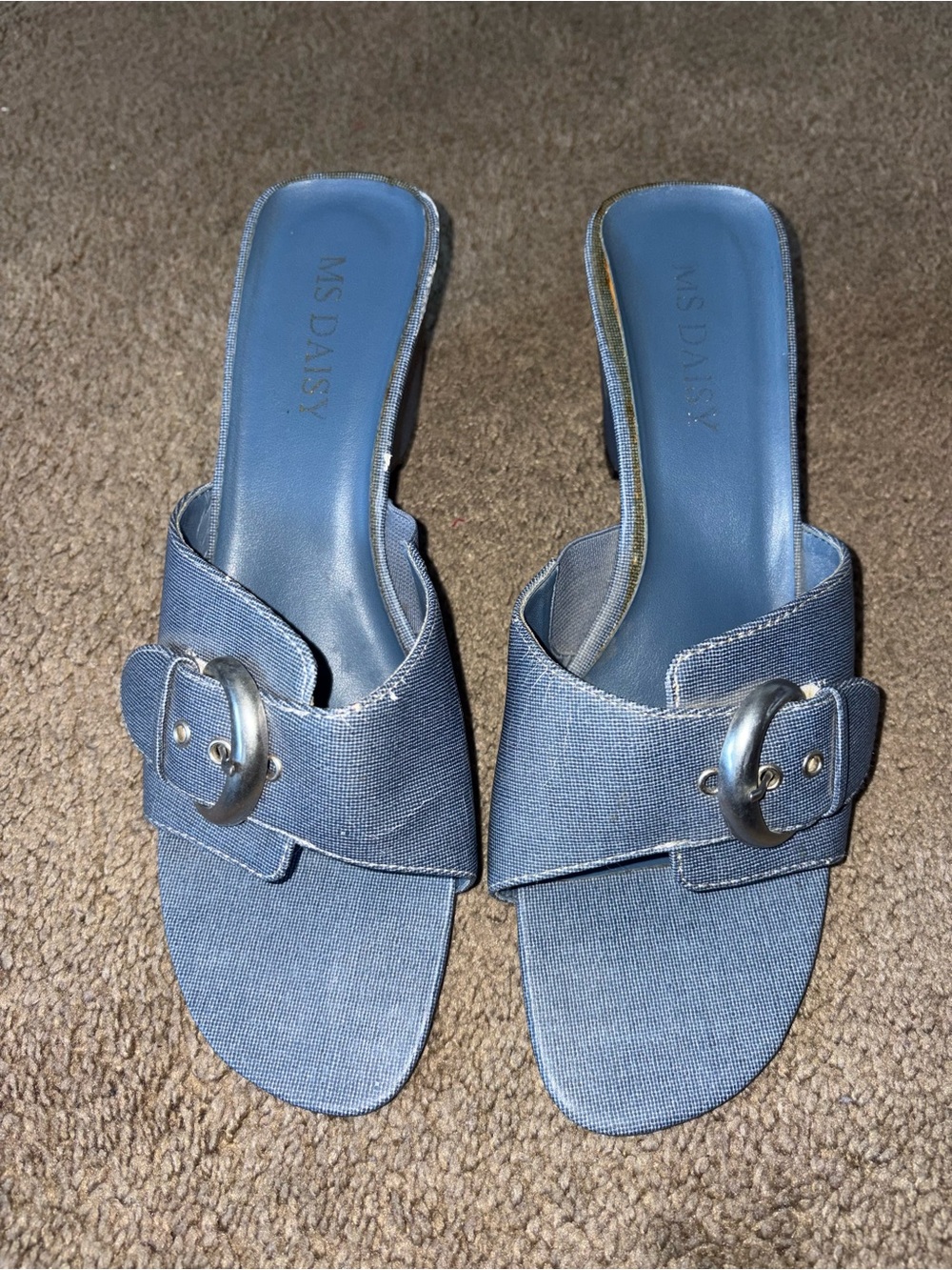 SOLD!! 2007-2008 MS Daisy Blue Slip-On Buckle Sandals for Women